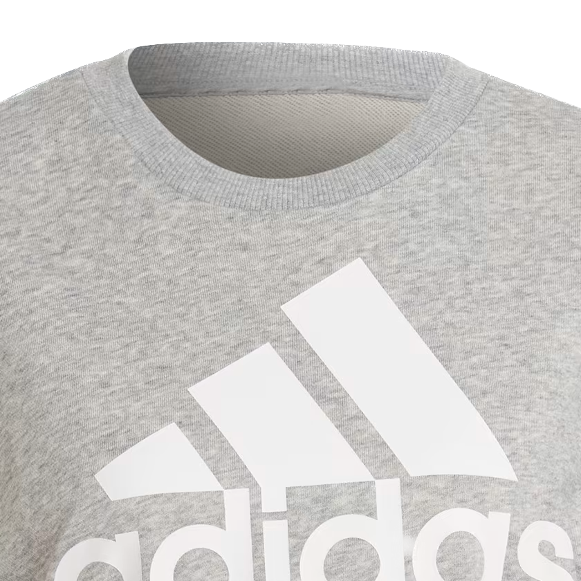 Adidas Essentials Logo Loose Sweatshirt Grey / White