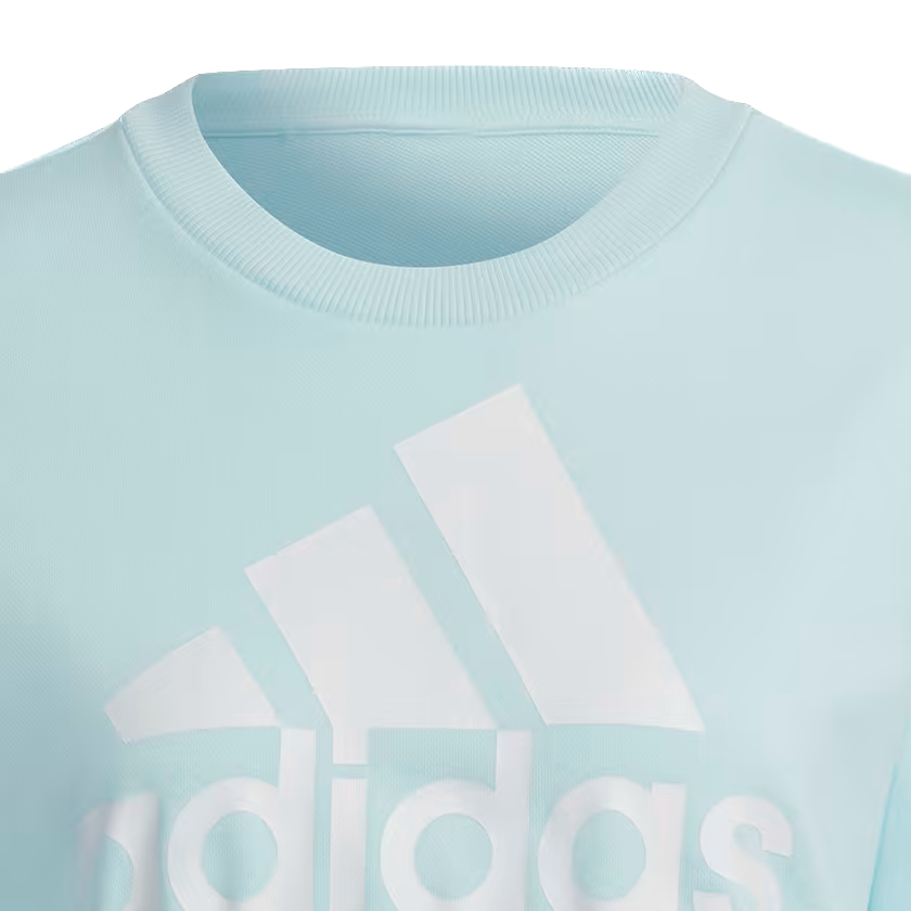 Adidas Essentials Logo Loose Sweatshirt Almost Blue / White